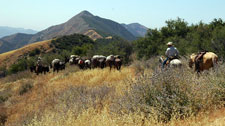 USA-California-Santa Barbara Wilderness Adventure